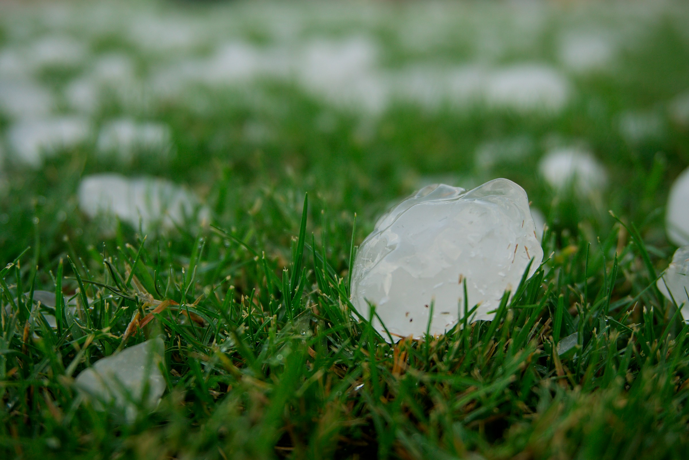 What to Do After Hail Damages Your Windows and Doors in Florida (And Why Impact Protection Matters)